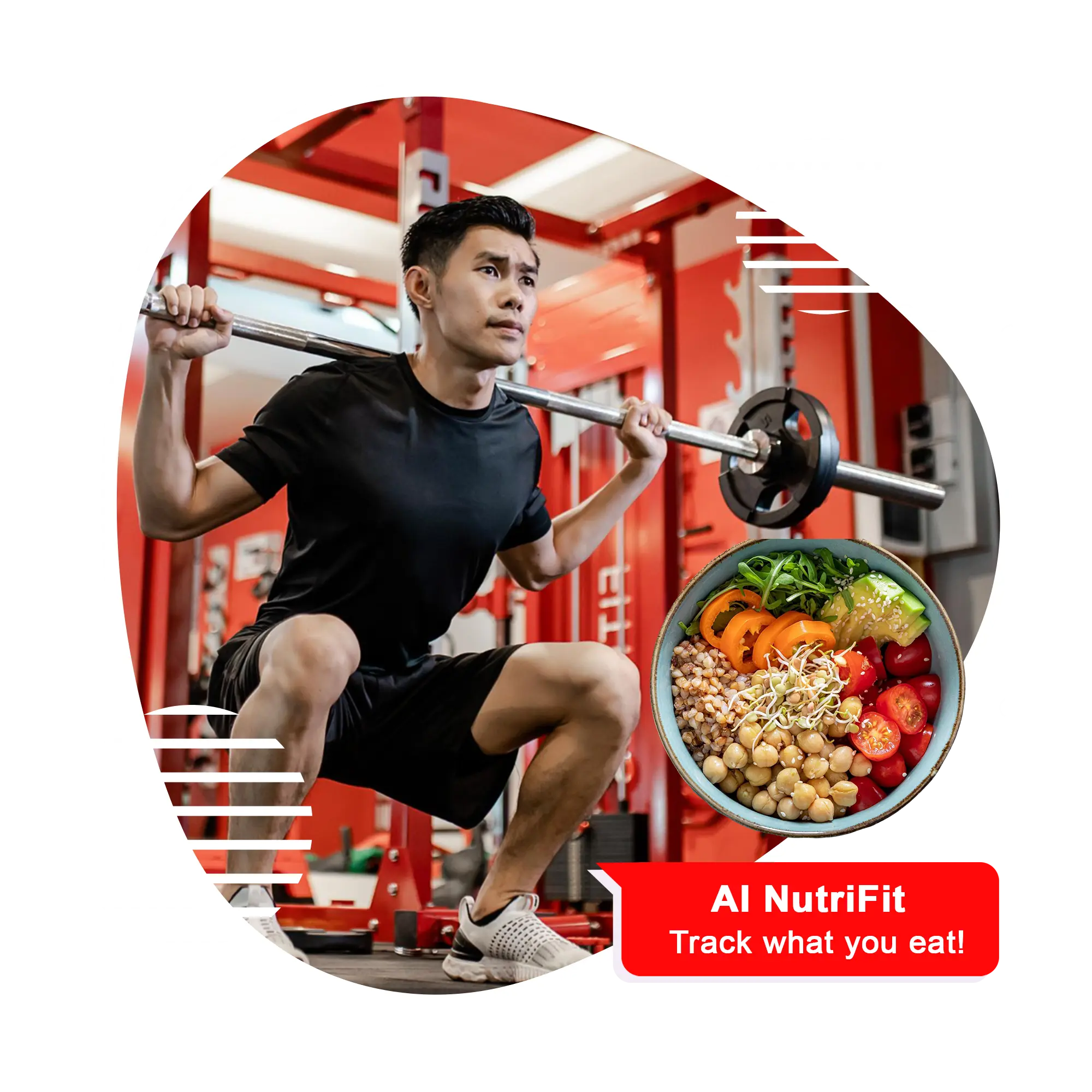AI fitness meals tracking dashboard
